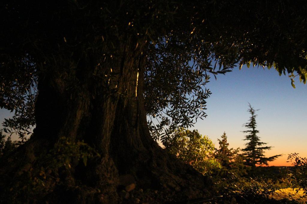 Отель La Campagne De Petre Entrevennes Экстерьер фото